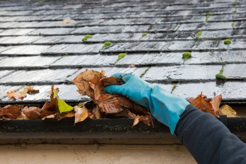 Tips from an HOA Board: Protect Your Home Against Drainage Failure