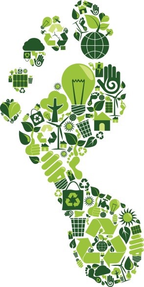 4 Ways to Reduce Your Carbon Footprint in a Homeowners Association