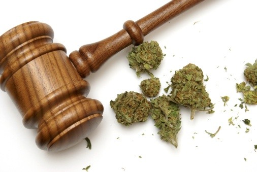 How New Marijuana Laws Affect Property Management in California