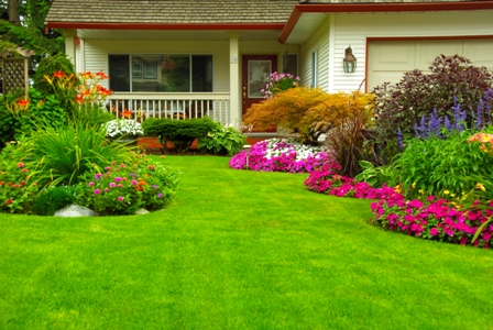 landscaped front yard