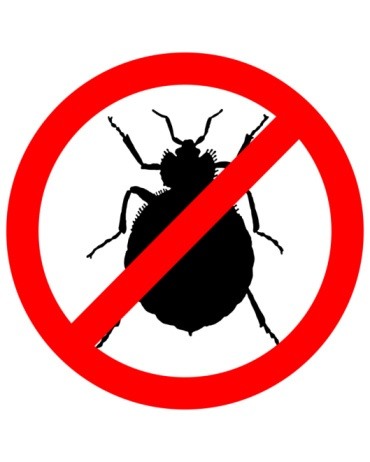 What Rental Property Managers Need to Know About Bed Bugs